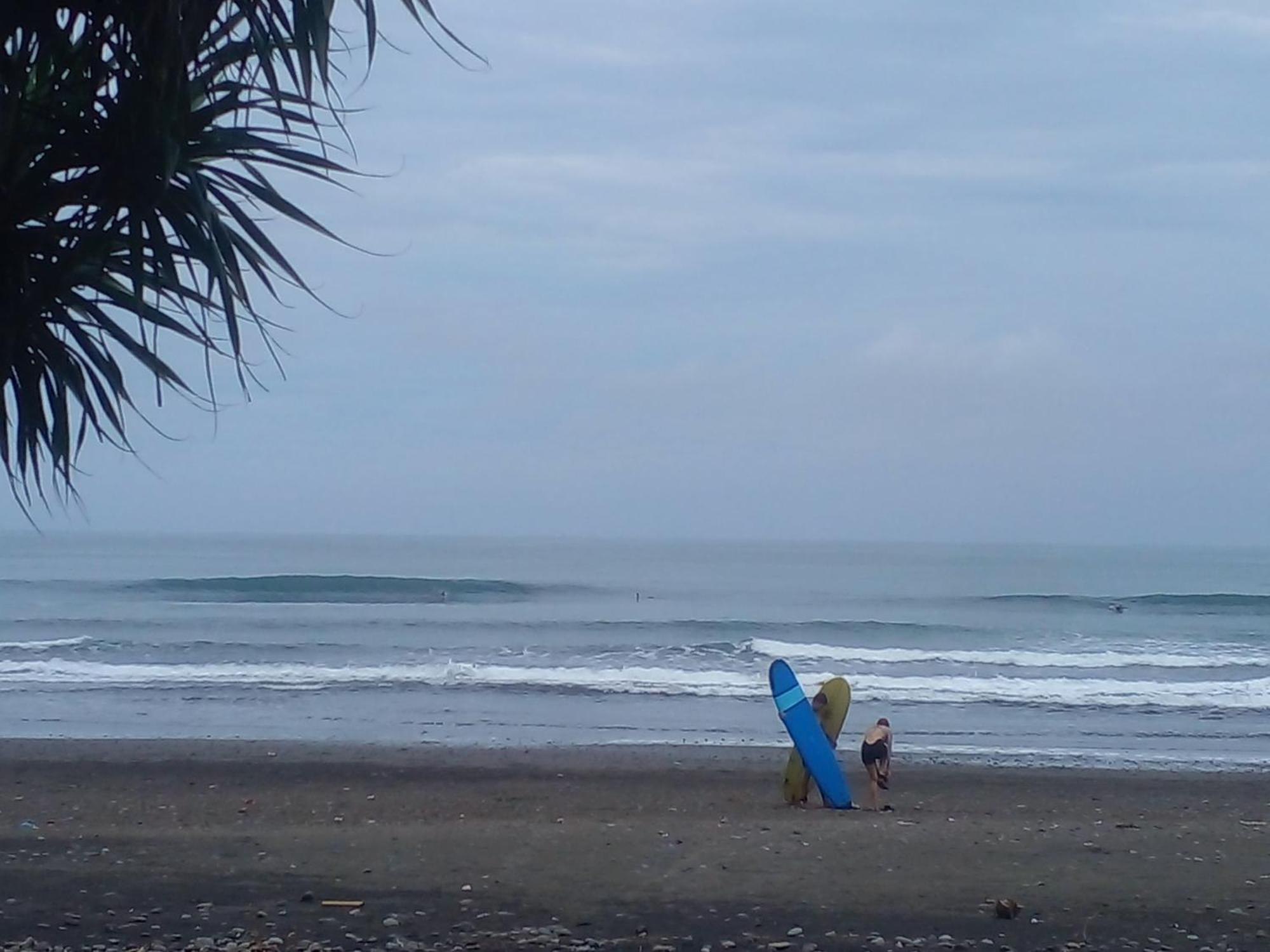 Jembrana Medewi Good Vibes Stay&Surf מראה חיצוני תמונה