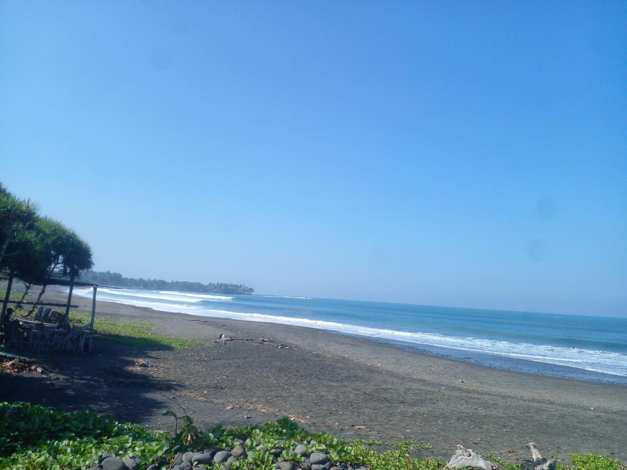 Jembrana Medewi Good Vibes Stay&Surf מראה חיצוני תמונה